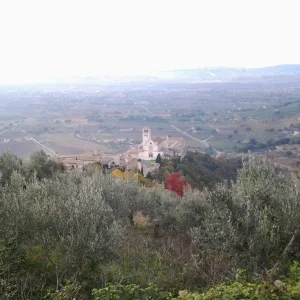 Assisi