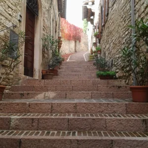 Assisi