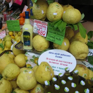 Lemons - Limone Di Garda