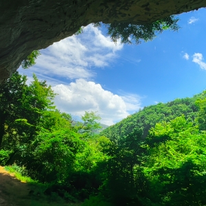 Veja Bridge