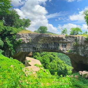 Veja Bridge