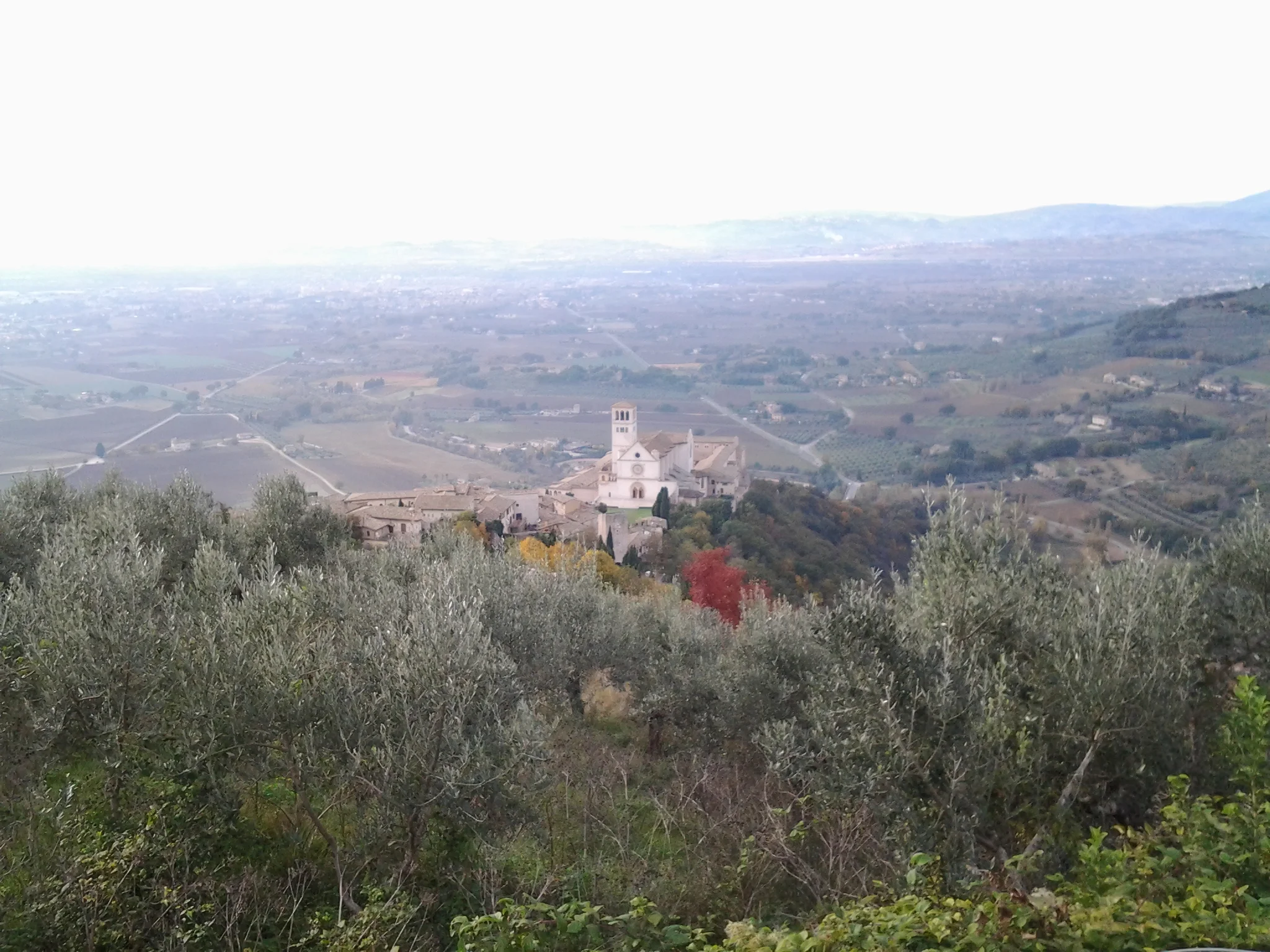 Assisi