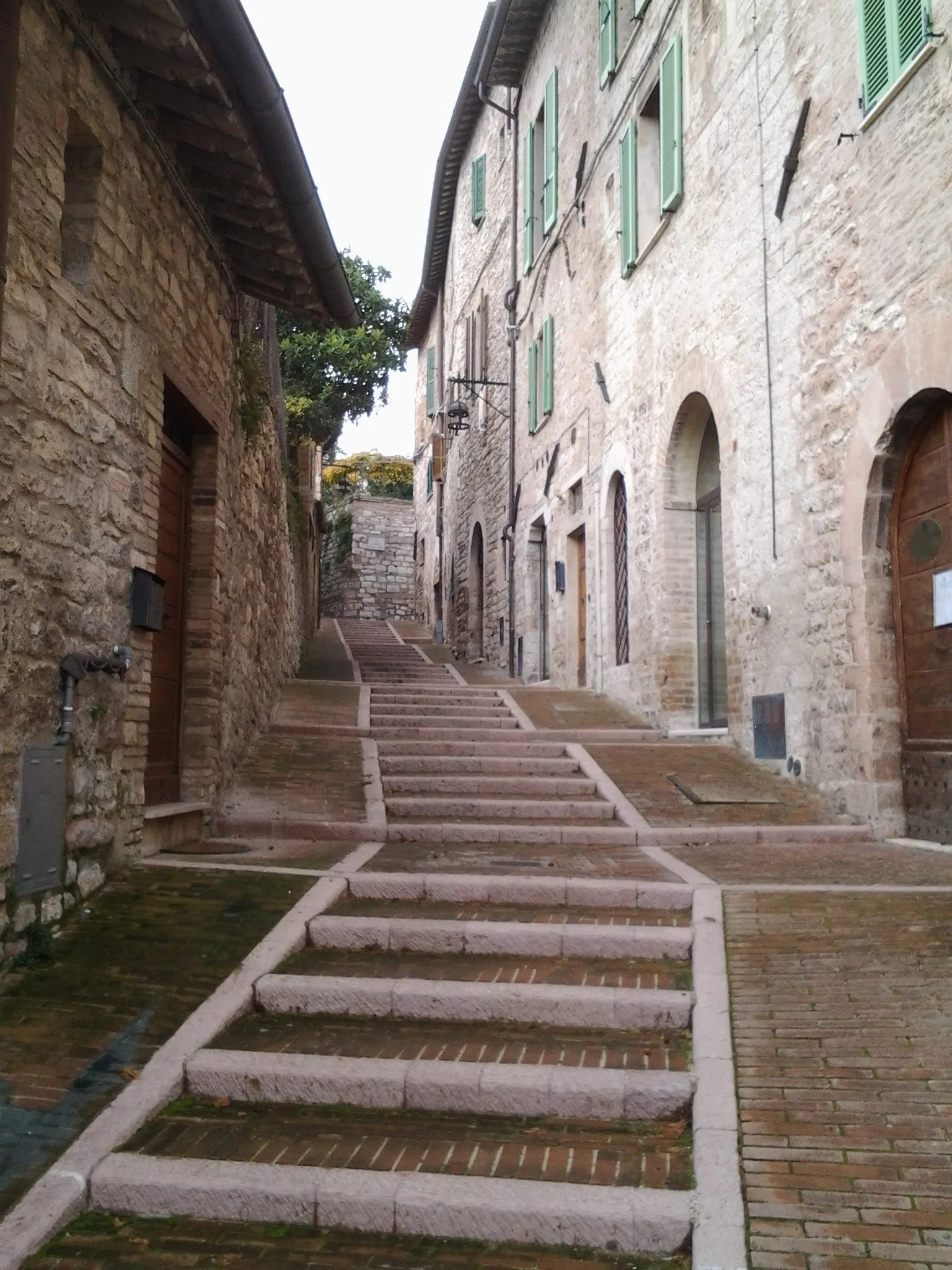 Assisi