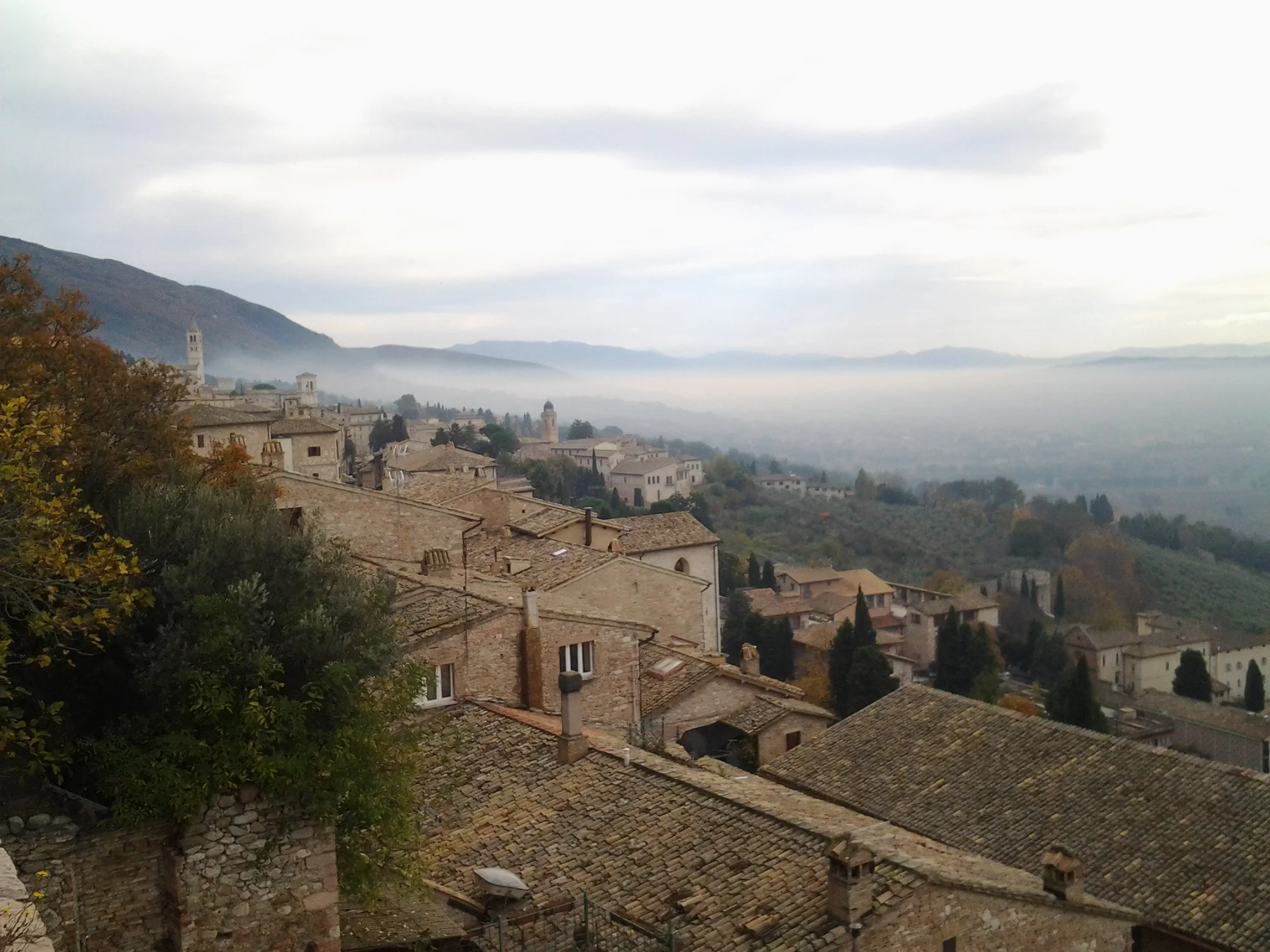 Assisi