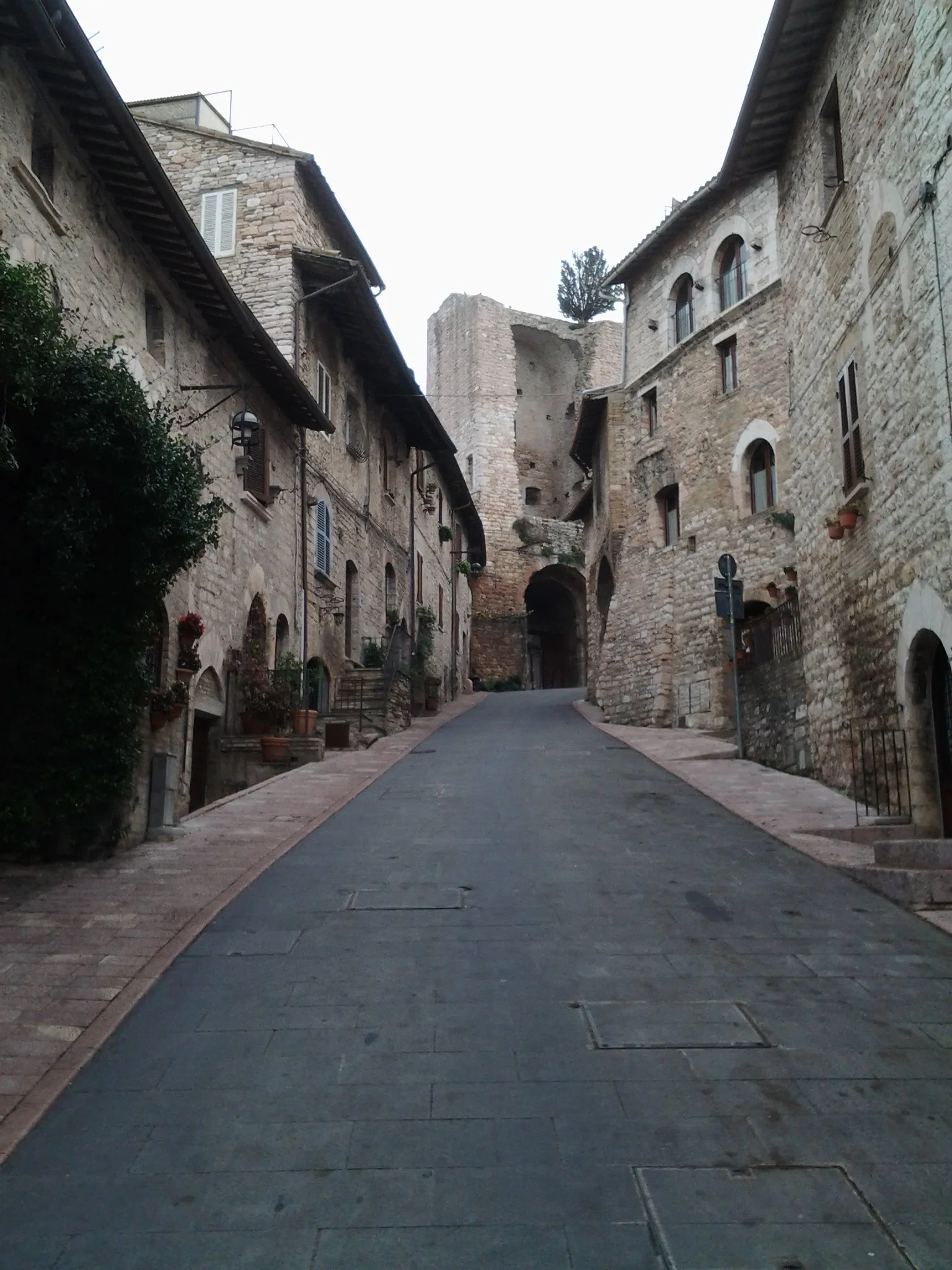 Assisi