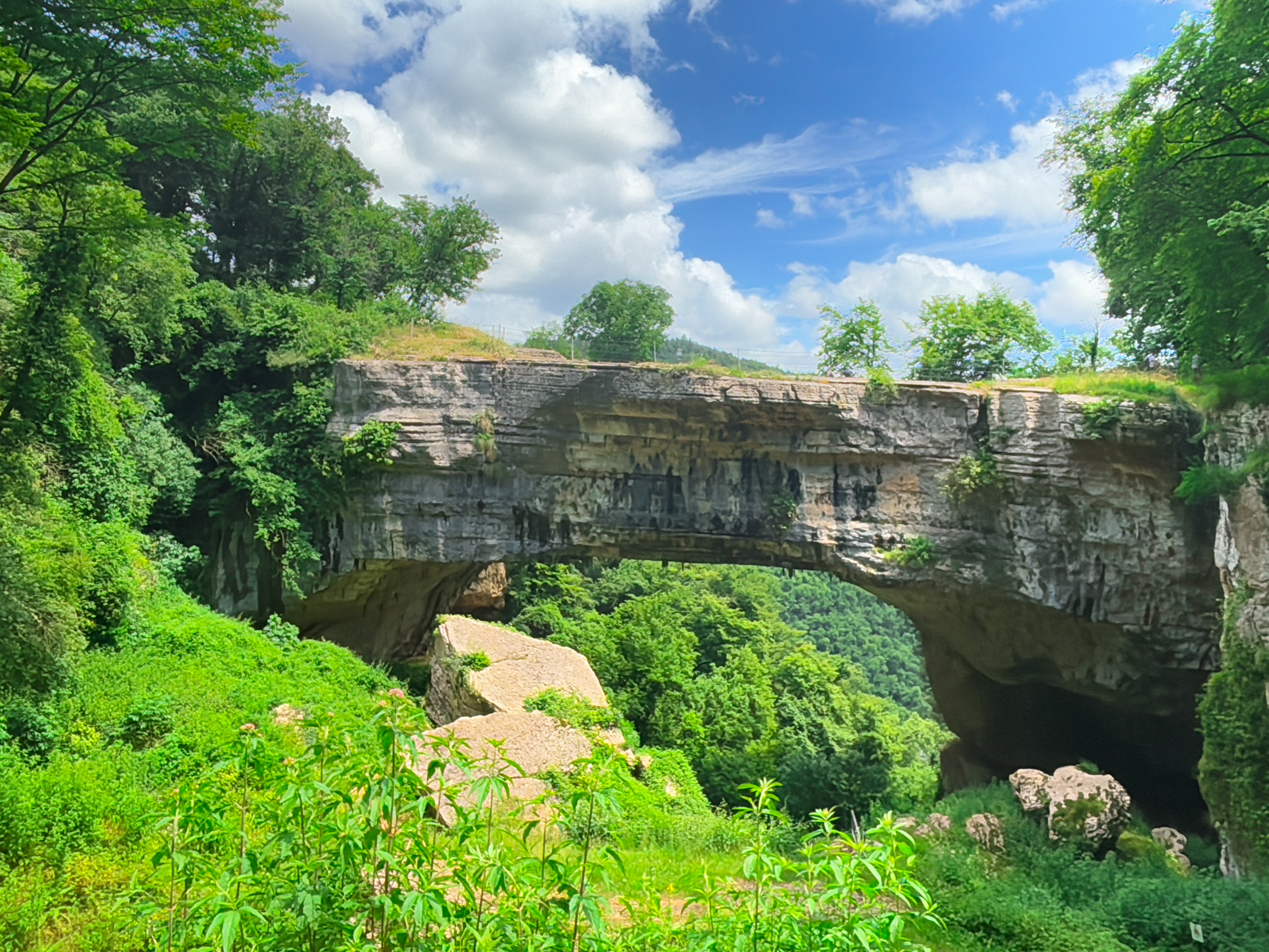 Veja Bridge